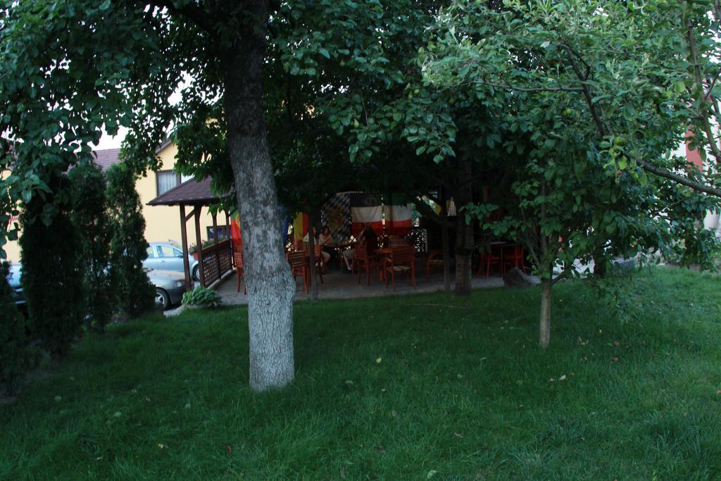 Pensiunea Blanca Reghin Exterior foto